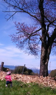 IMG_20130527_233040