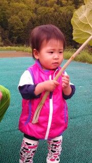 IMG_20130602_125255_807