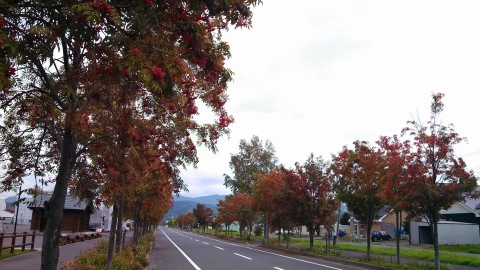 IMG_20130930_103033_613