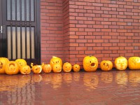 IMG_20131025_111627_708