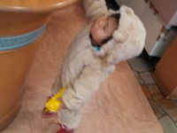 IMG_20131031_144650_737