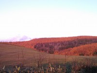 IMG_20131103_155011_789