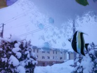 IMG_20140106_071835_380