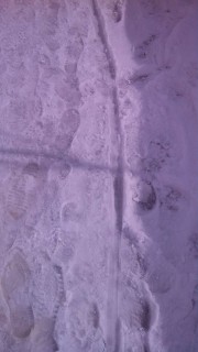 11023180_756678474428538_221346115_n