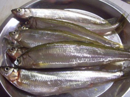 20080322162053